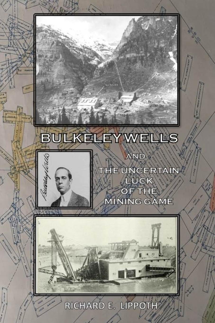 Bulkeley Wells And The Uncertain Luck Of The Mining Game Politics & Society