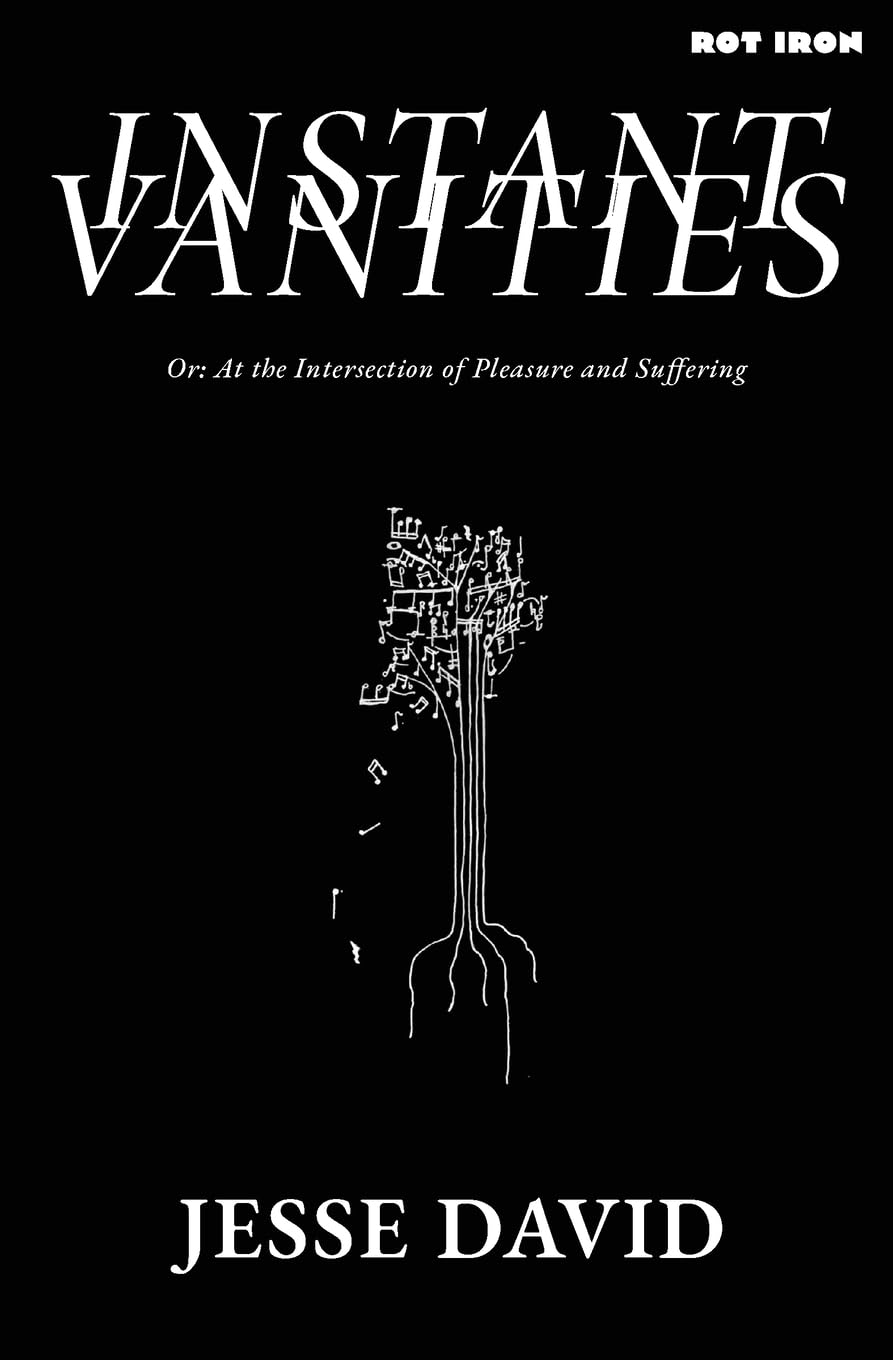 Instant Vanities: Or: At the Intersection of Pleasure and Suffering Contemporary literature