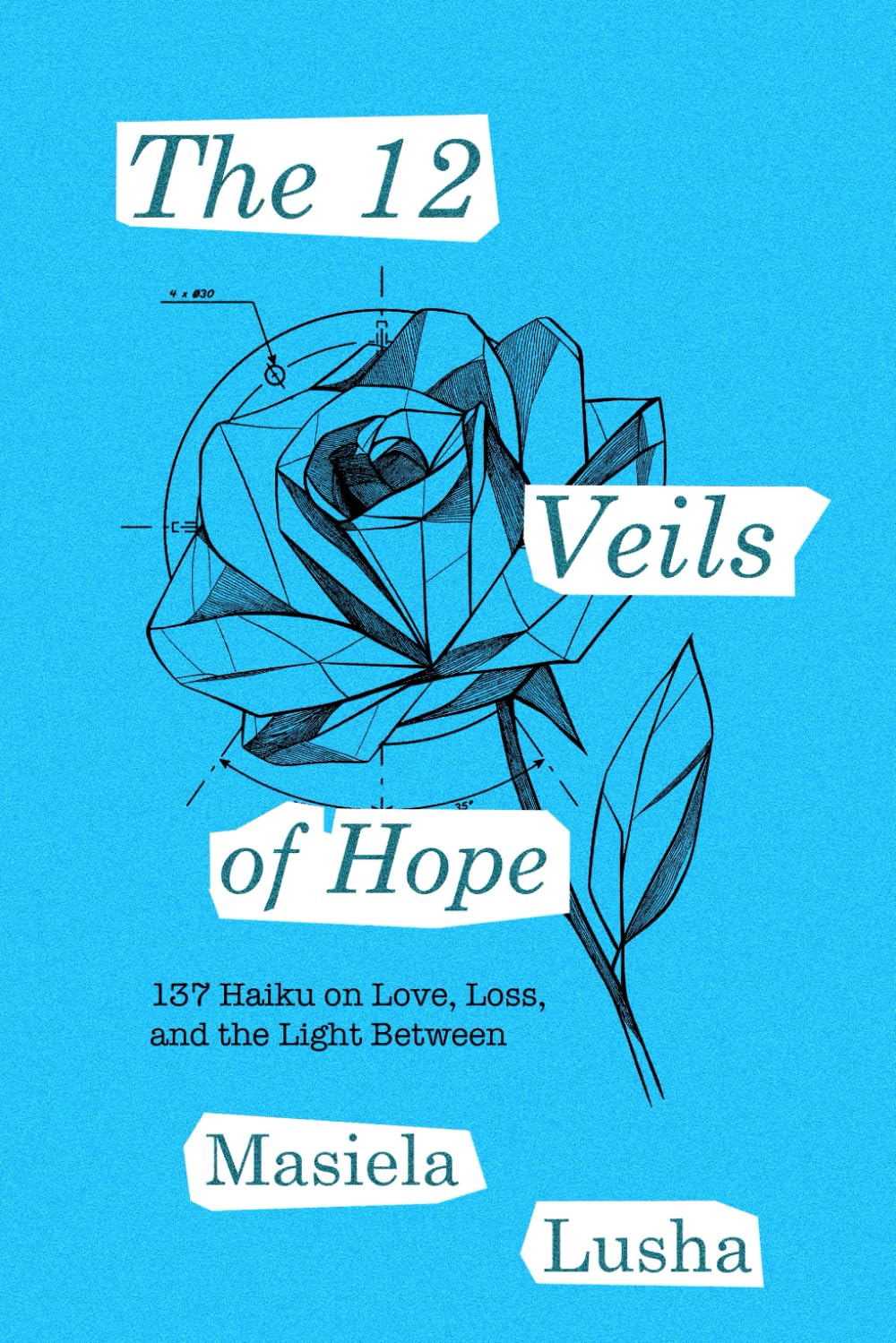 The 12 Veils of Hope Poetry