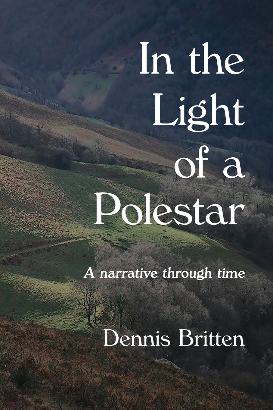 In the Light of a Polestar Contemporary literature