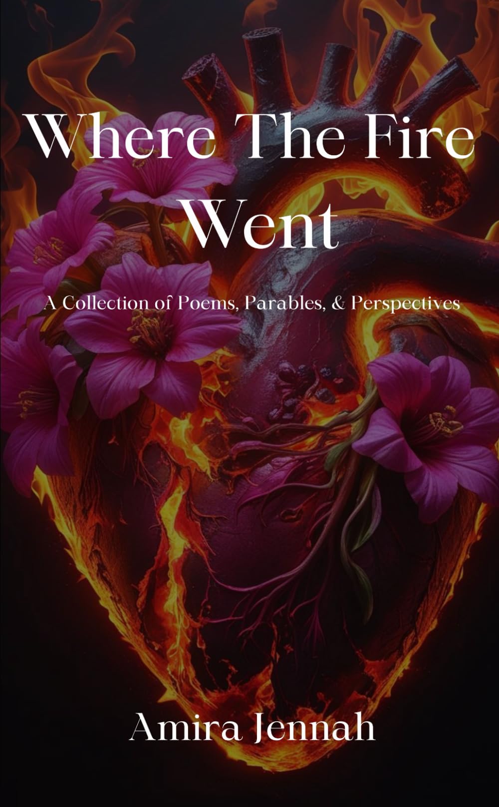 Where The Fire Went: Collection of Poems, Parables, & Perspectives Poetry