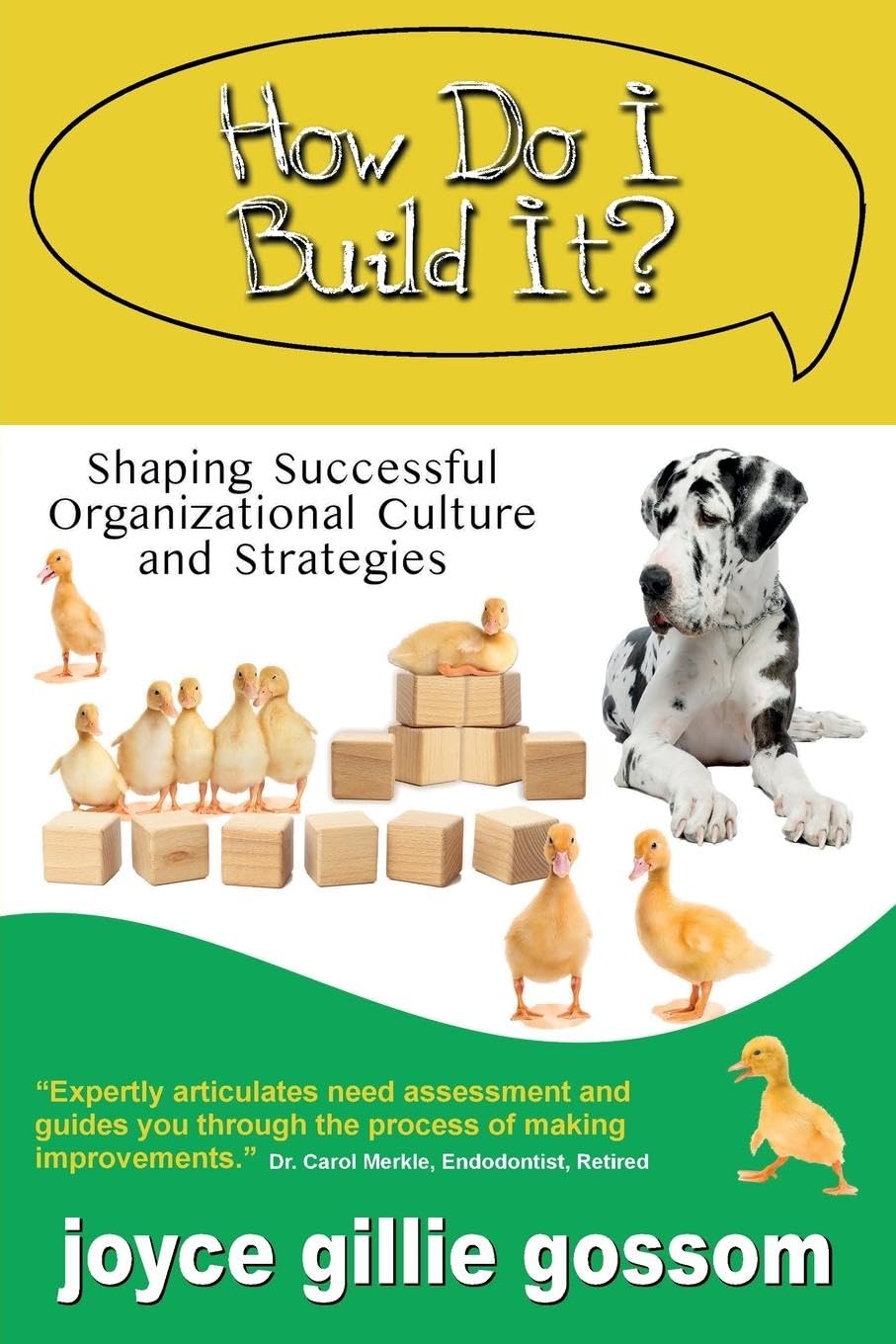 How Do I Build It? Shaping Successful Organizational Culture and Strategies Business, Finance & Career