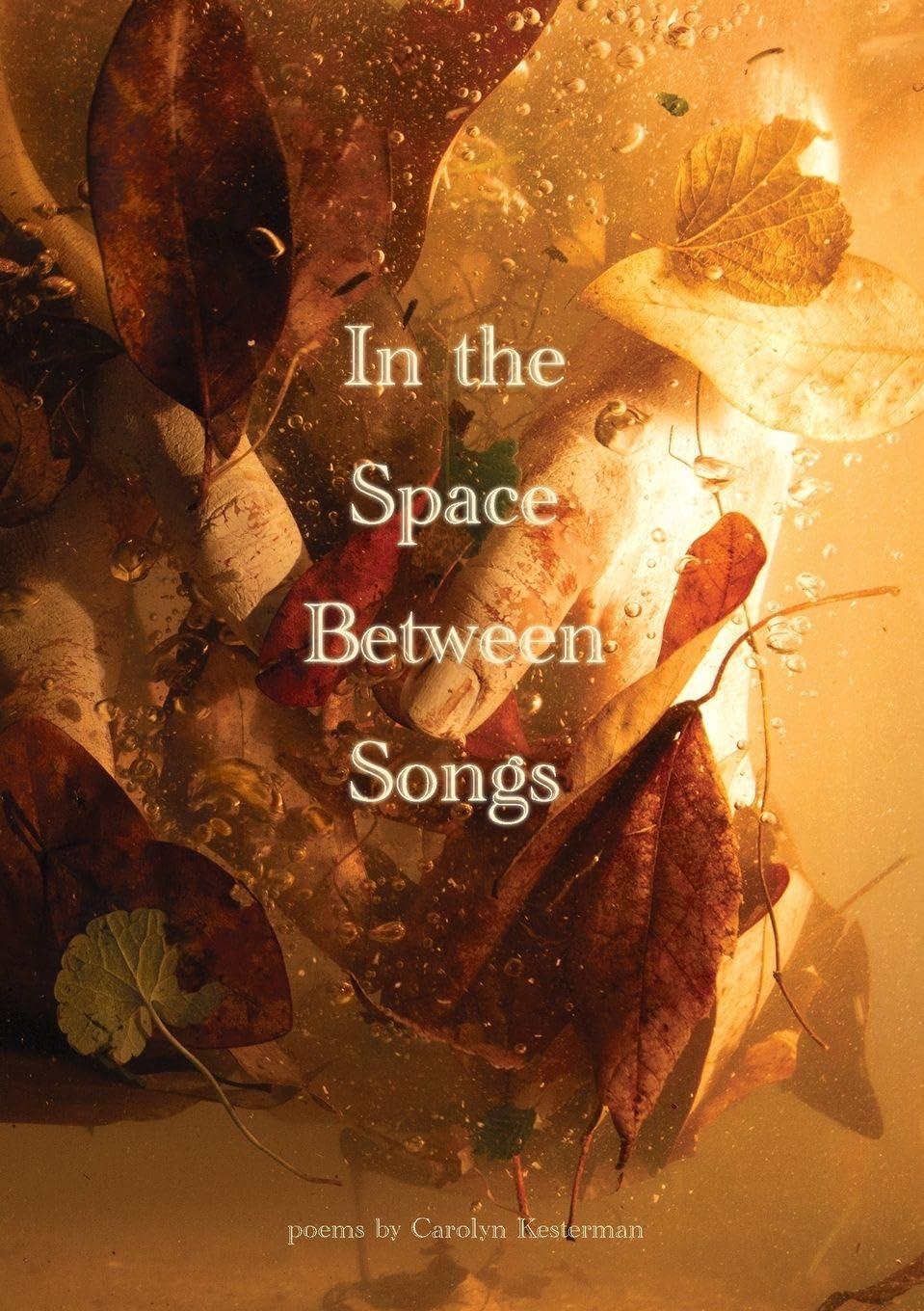 In the Space Between Songs Poetry