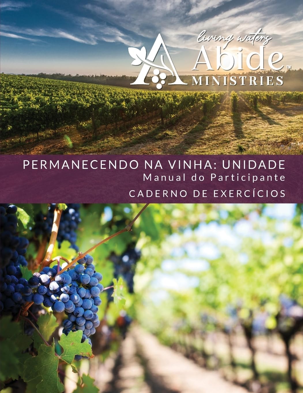 Abiding in the Vine / Unity - Retreat / Companion Workbook - Portuguese Version Religion & Esotericism
