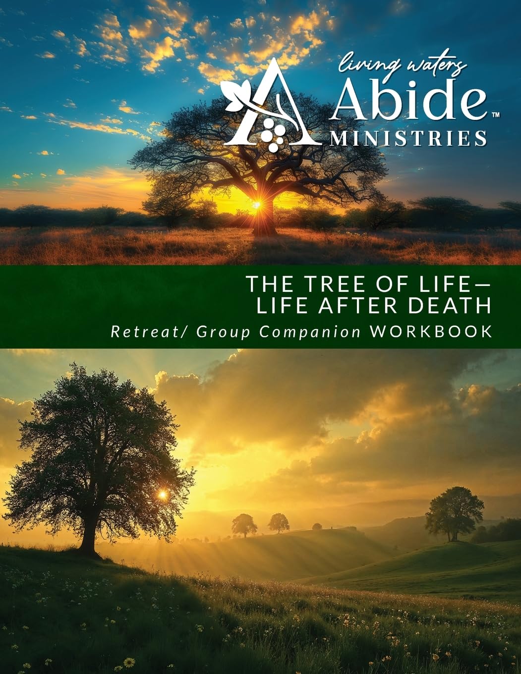 The Tree of Life - Life after Death Reference Books