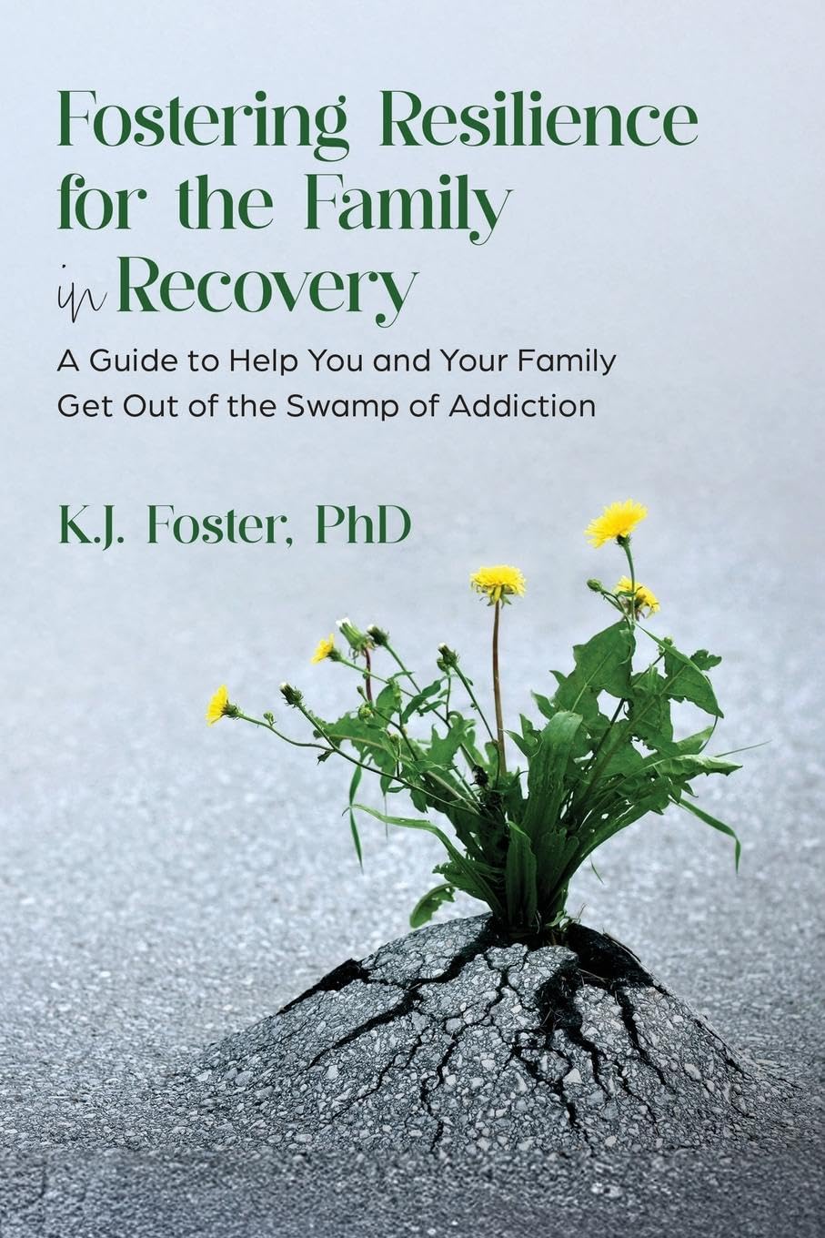 Fostering Resilience for the Family in Recovery Politics & History