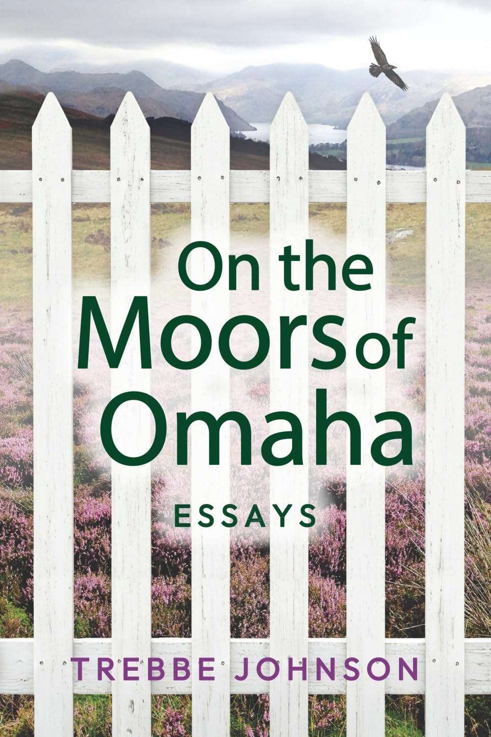 ON THE MOORS OF OMAHA Contemporary literature