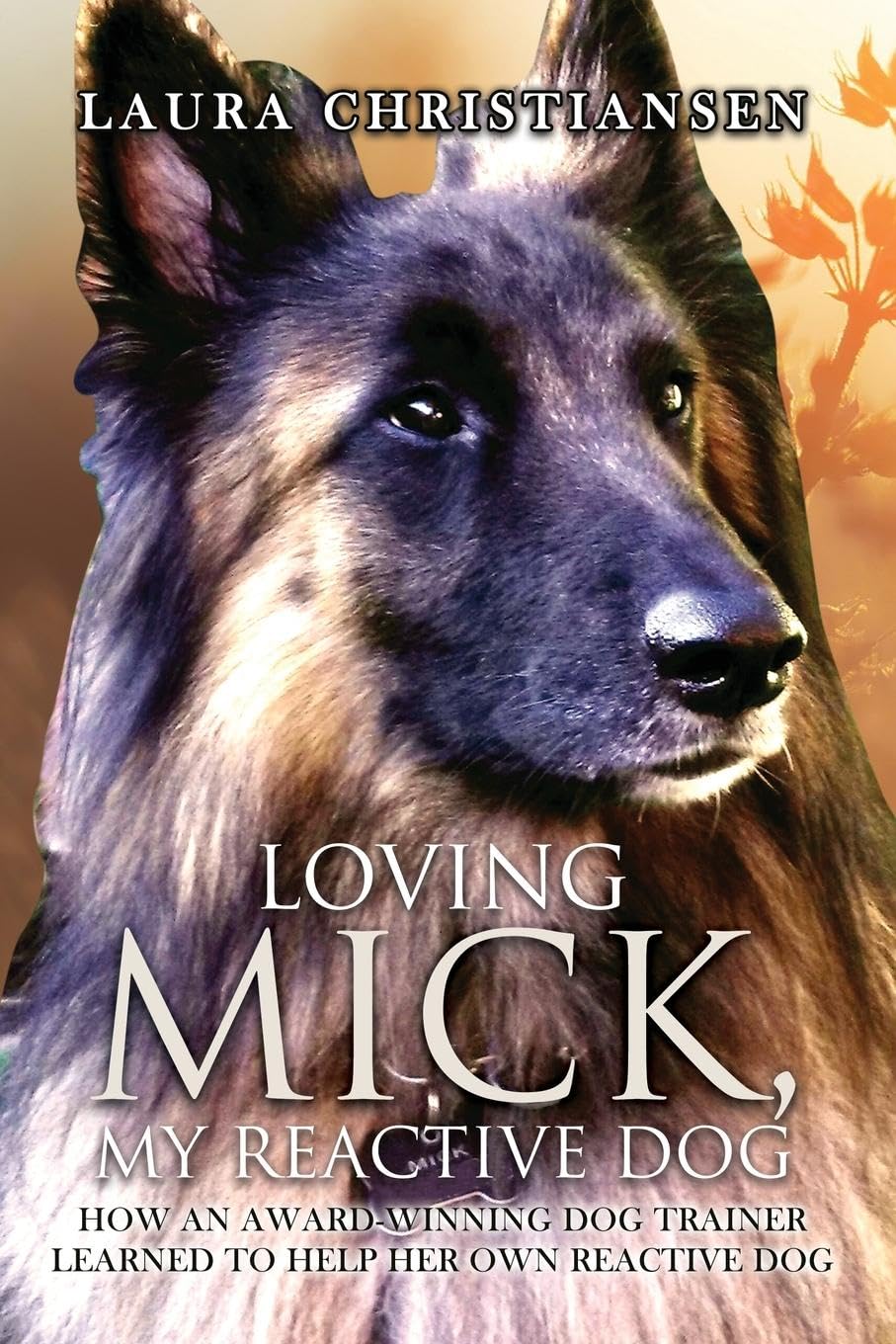 Loving Mick, My Reactive Dog Pets