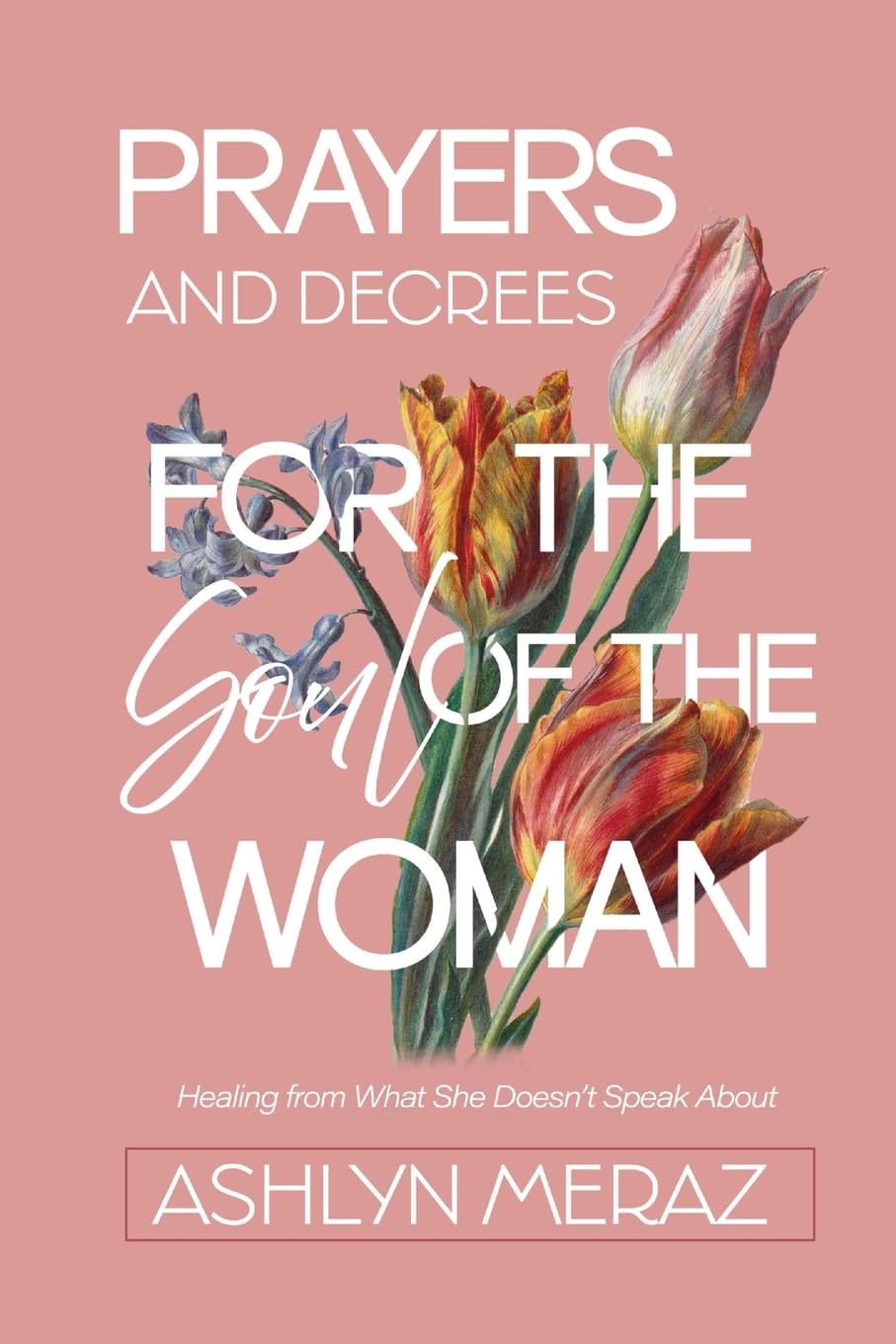 Prayers and Decrees for the Soul of the Woman Books