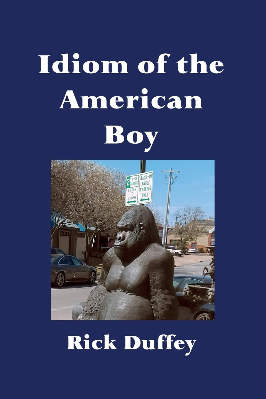 Idiom of the American Boy Poetry
