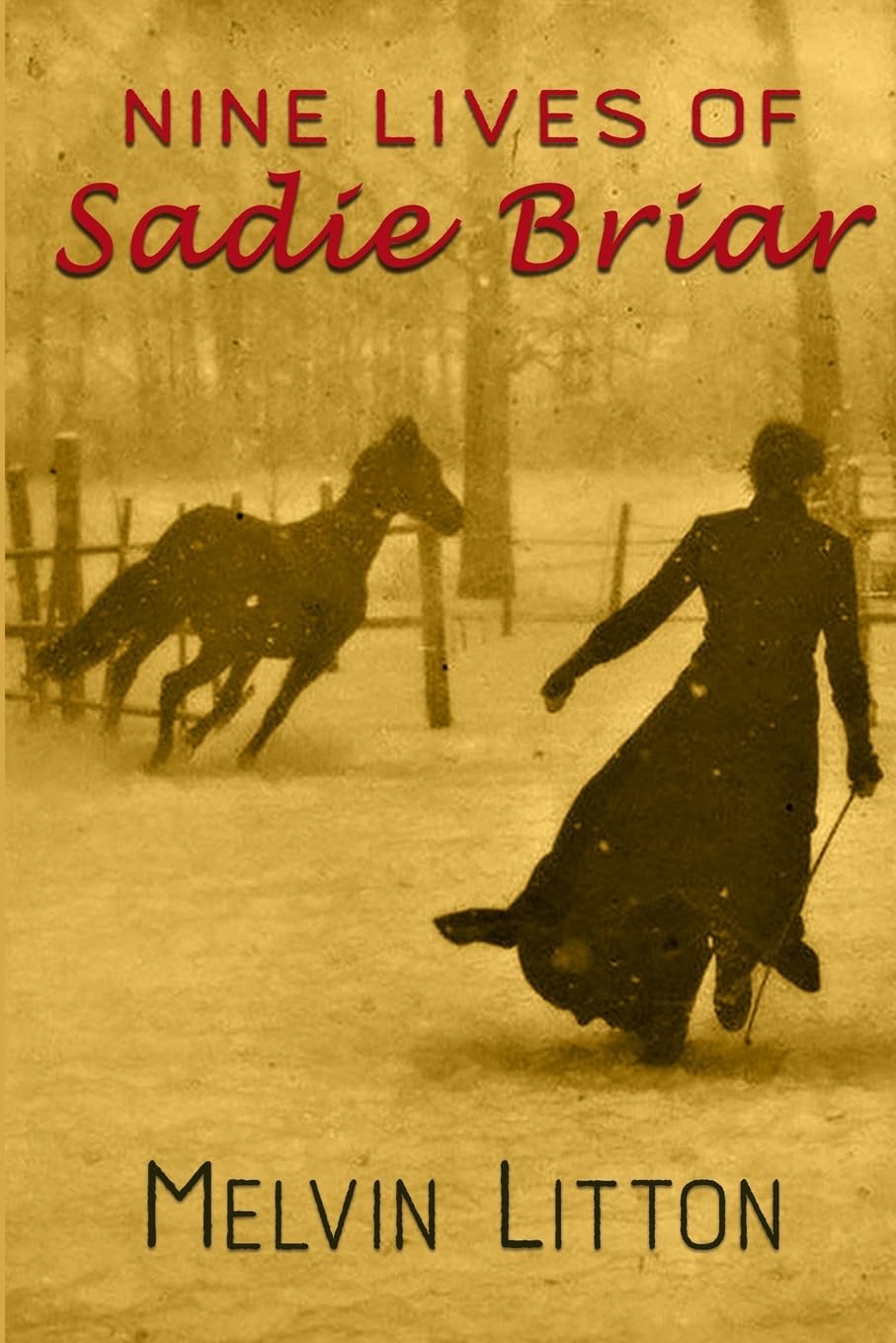 Nine Lives of Sadie Briar Drama
