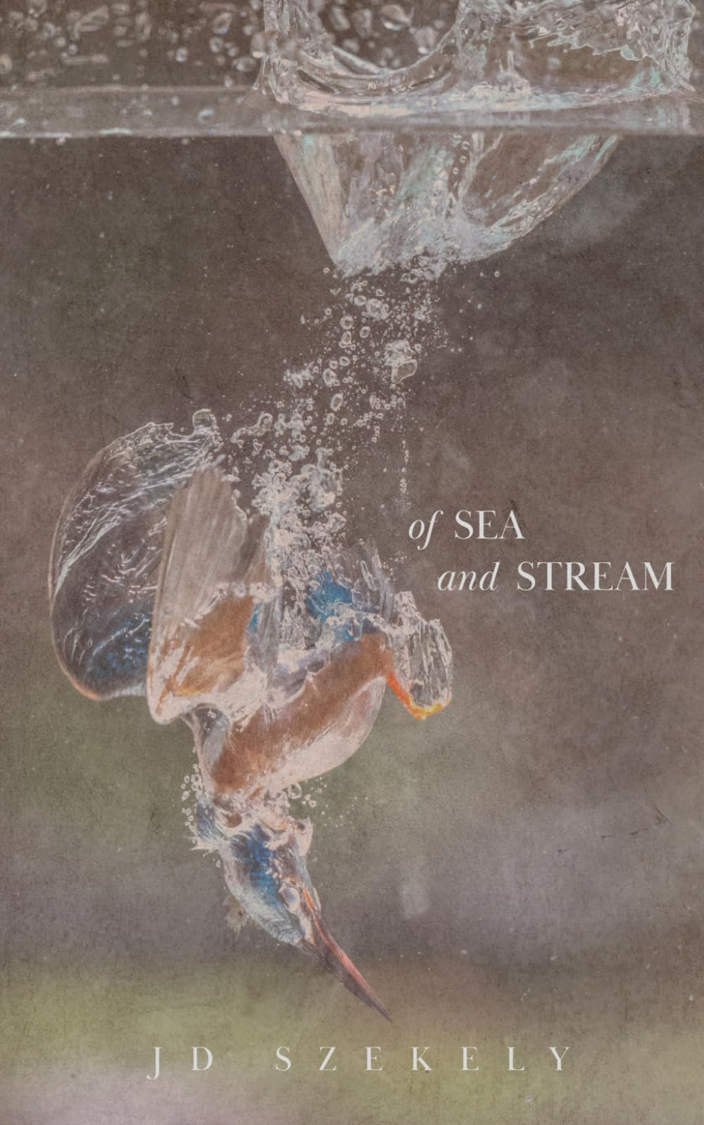 Of Sea and Stream Contemporary literature
