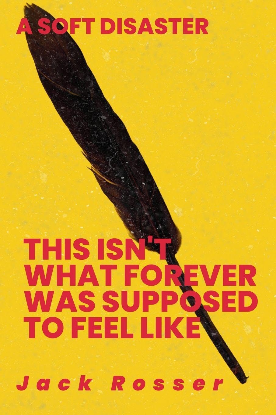 This Isn't What Forever Was Supposed To Feel Like Fiction
