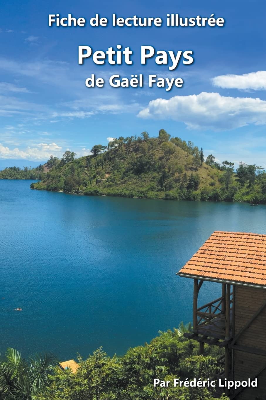 Fiche de lecture illustrée - Petit Pays, de Gaël Faye Contemporary literature