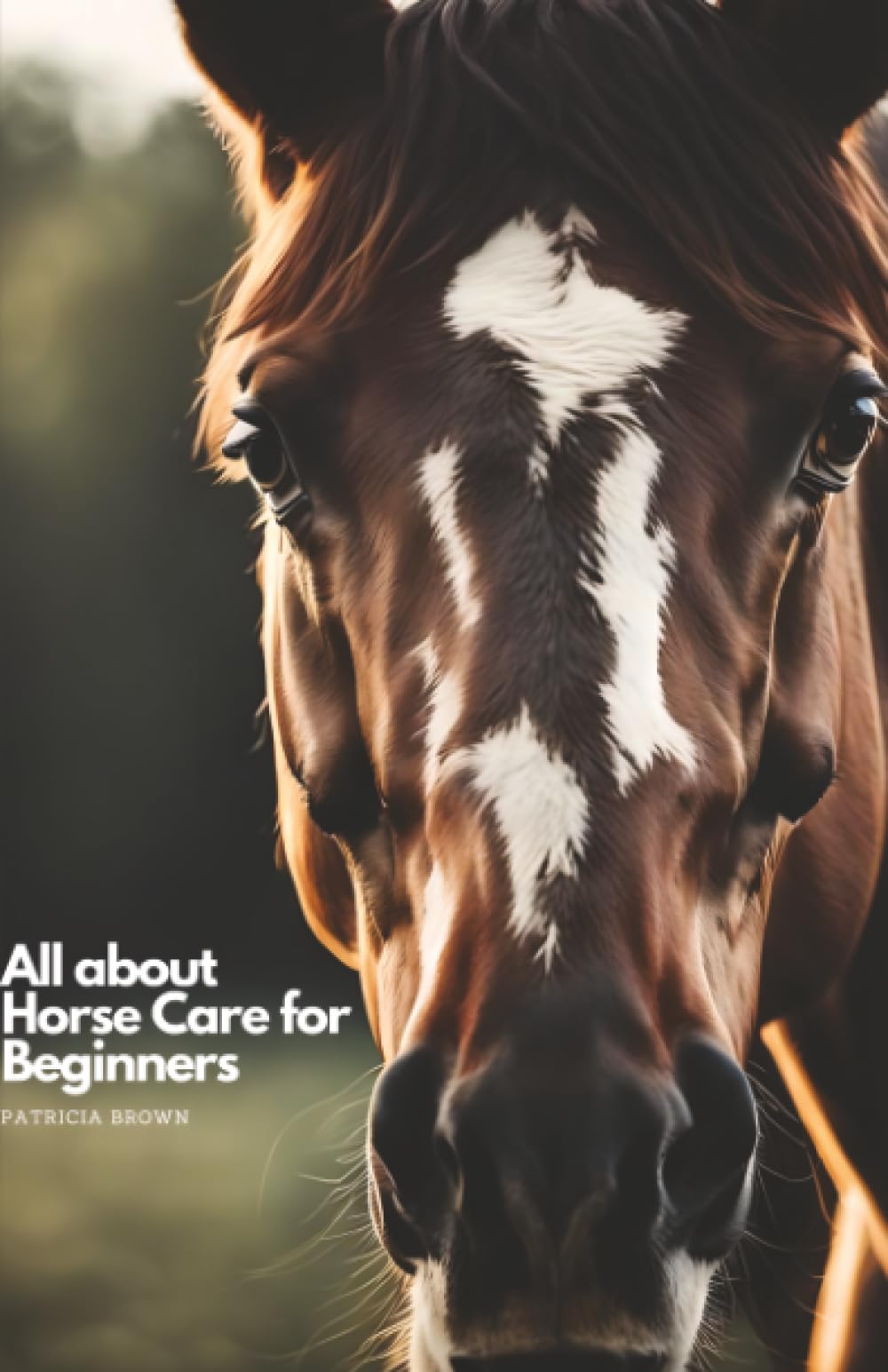 All about Horse Care for Beginners Pets