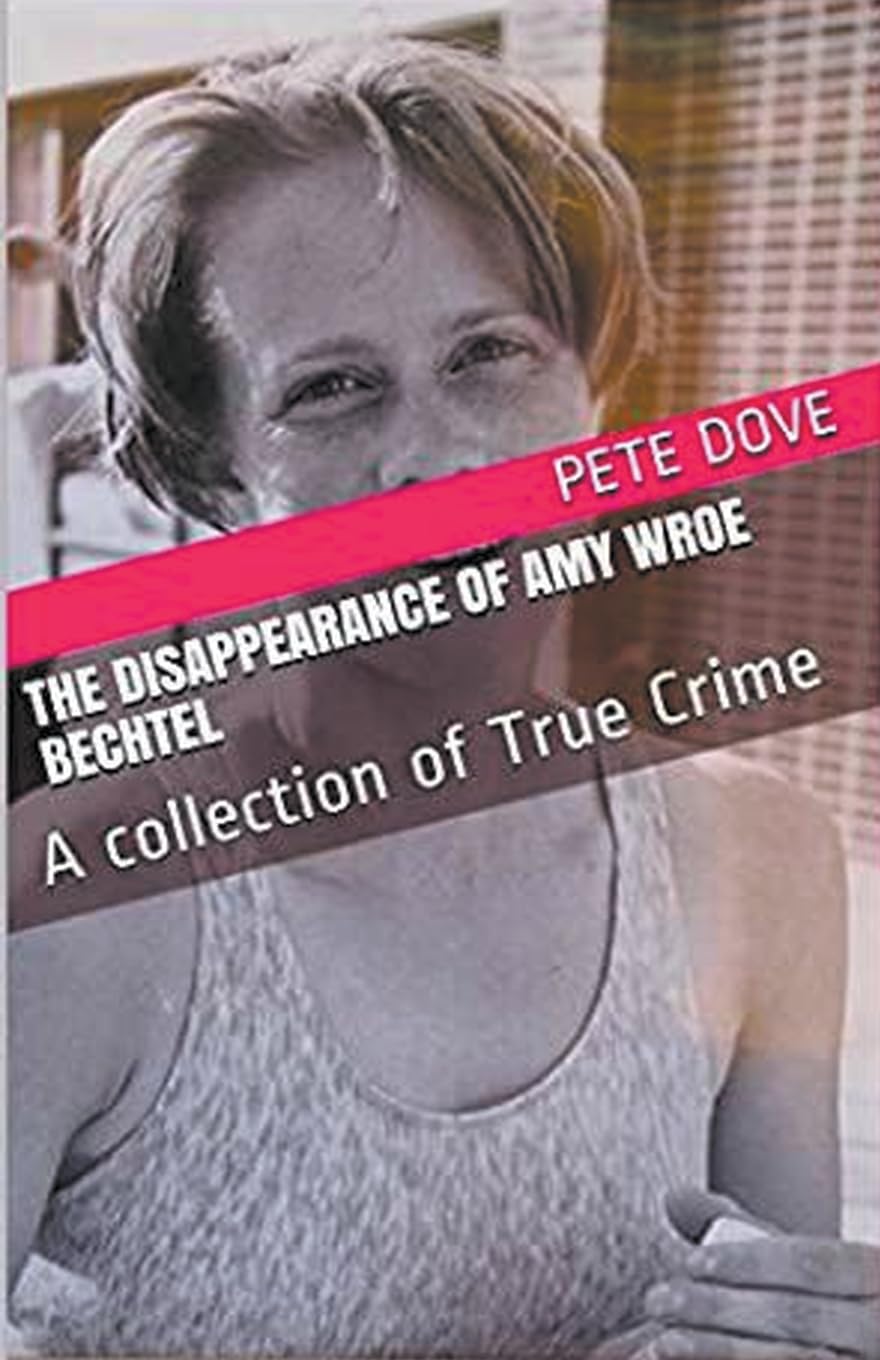 The Disappearance of Amy Wroe Bechtel book