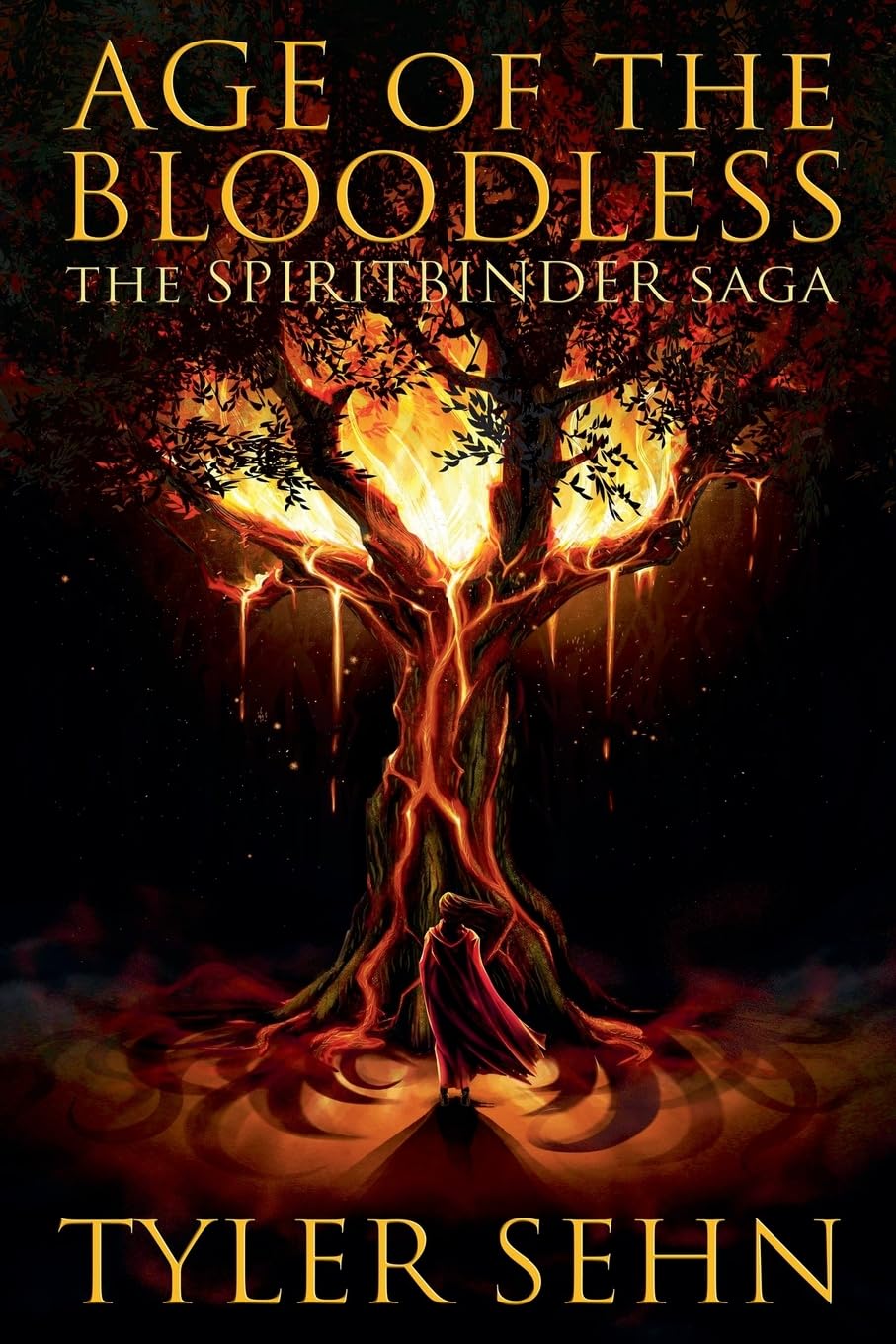 Age of the Bloodless (Spiritbinder Saga) Books