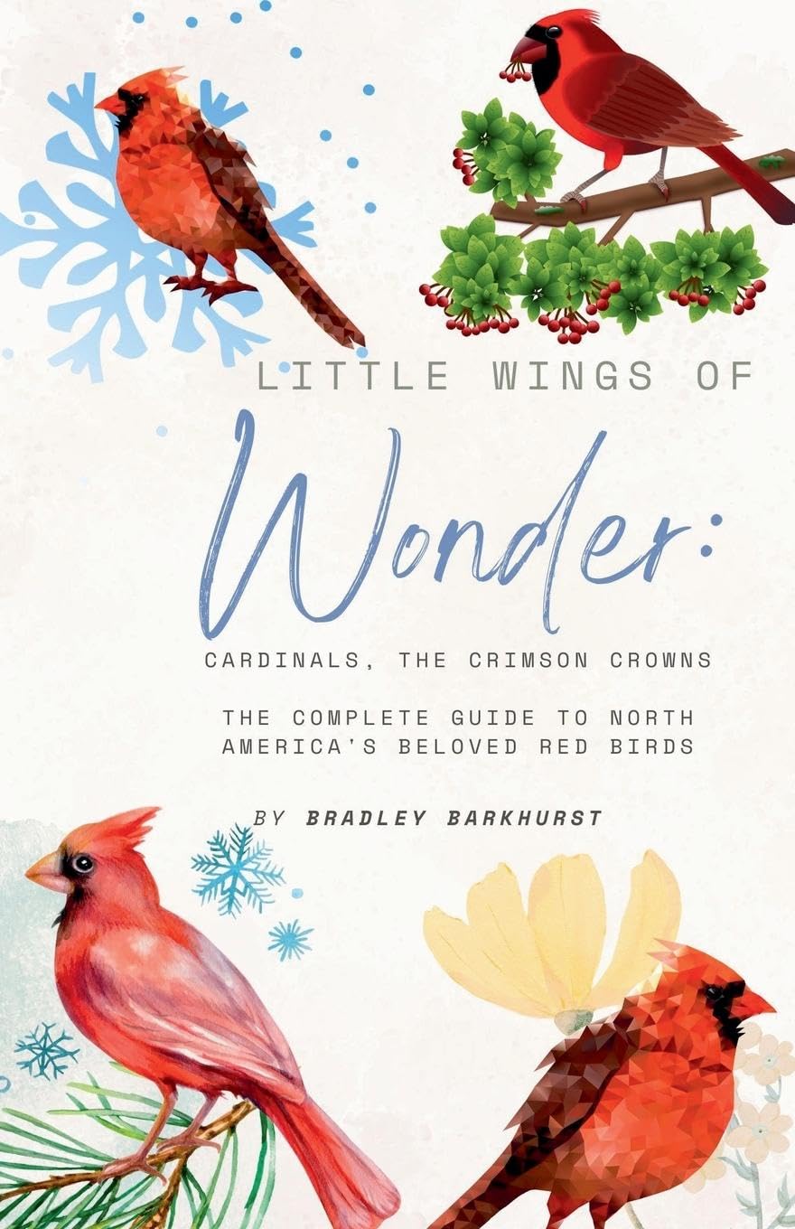 Little Wings of Wonder Pets