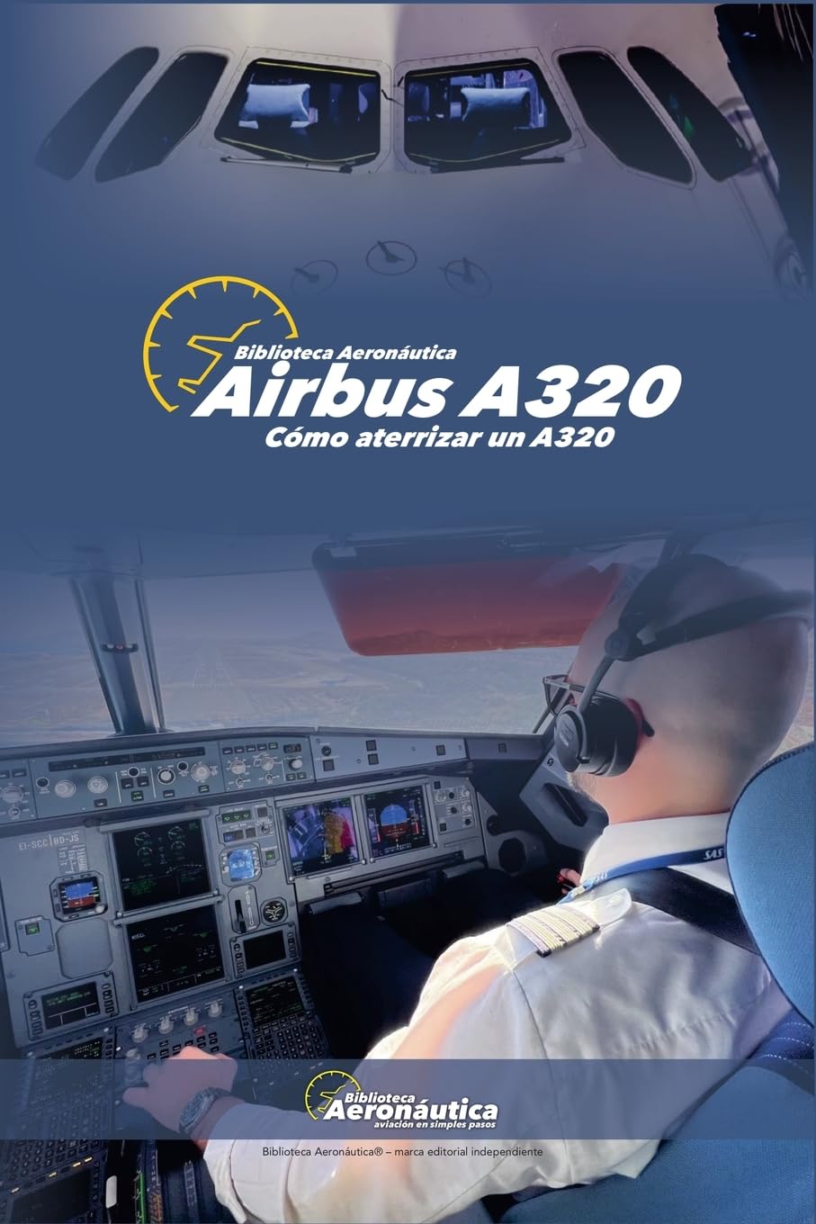 Airbus A320. Cómo aterrizar un A320 Leisure, Home & Garden