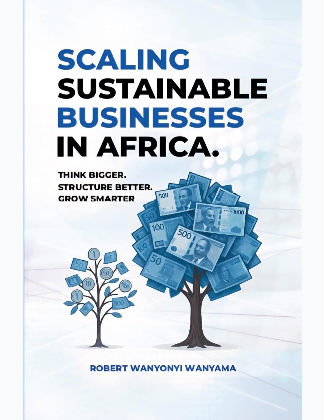 Scaling Sustainable Businesses In Africa Law