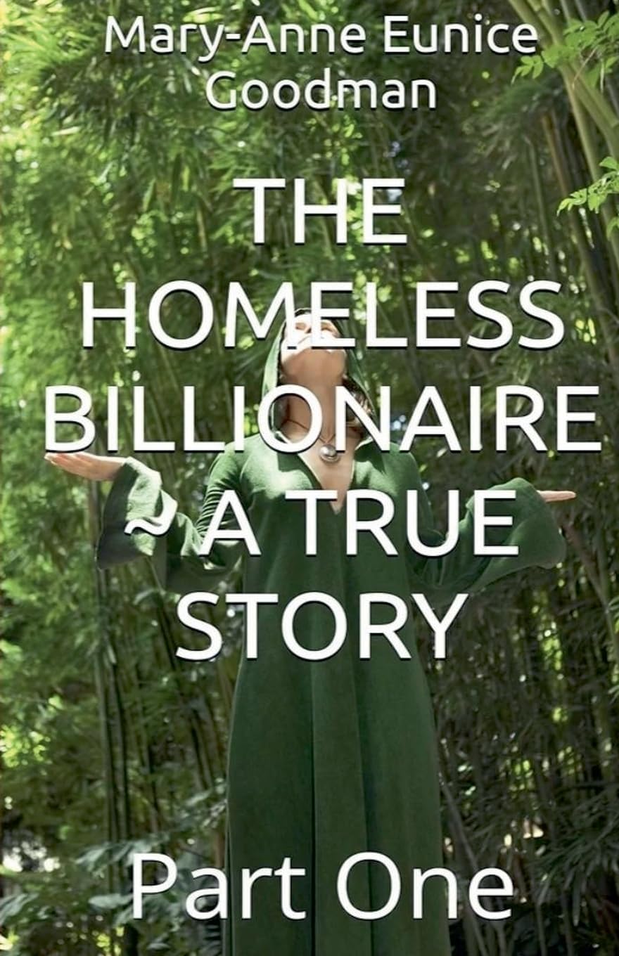 The Homeless Billionaire - A True Story - Part 1 Art & Literature