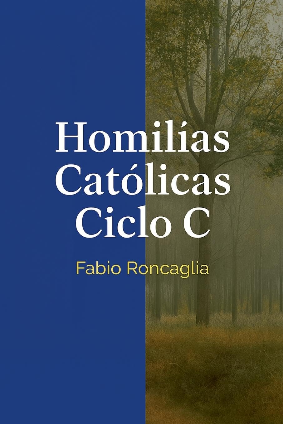 Homilías Católicas Ciclo C Religion & Esotericism