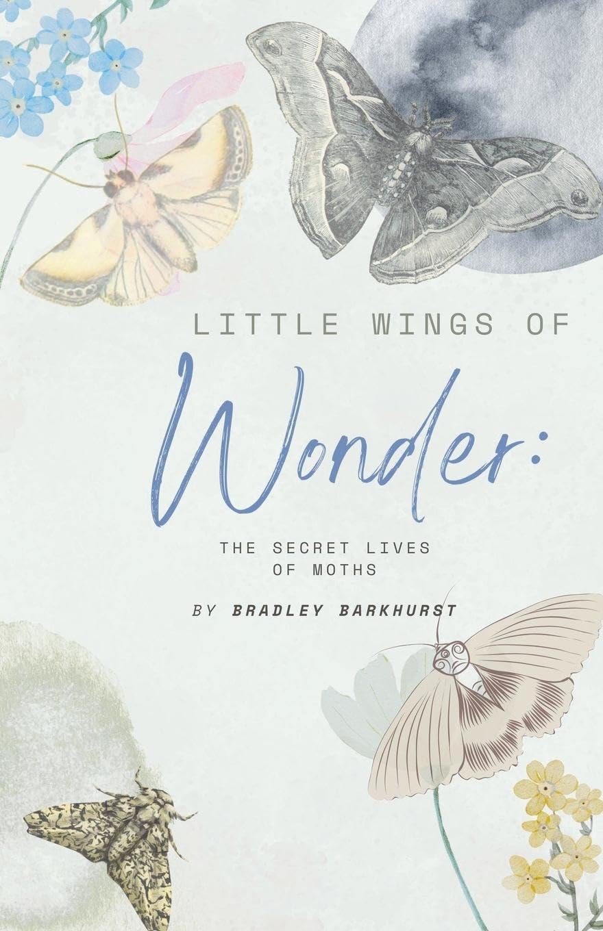 Little Wings of Wonder Pets