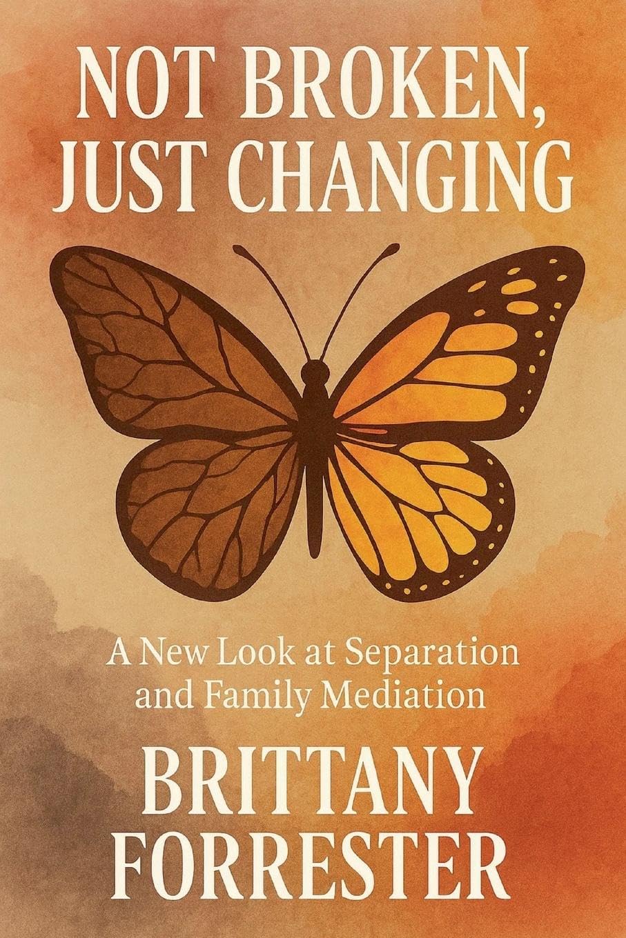 Not Broken, Just Changing A New Look at Separation and Family Mediation Law