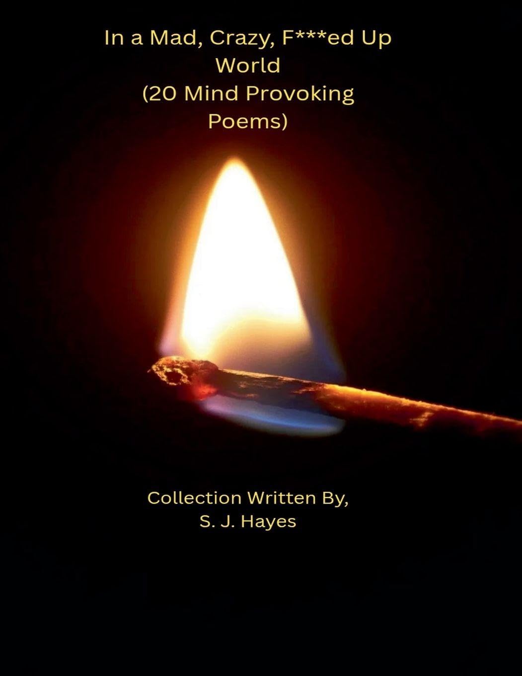 In a Mad, Crazy, F***ed Up World (20 Mind Provoking Poems) Poetry