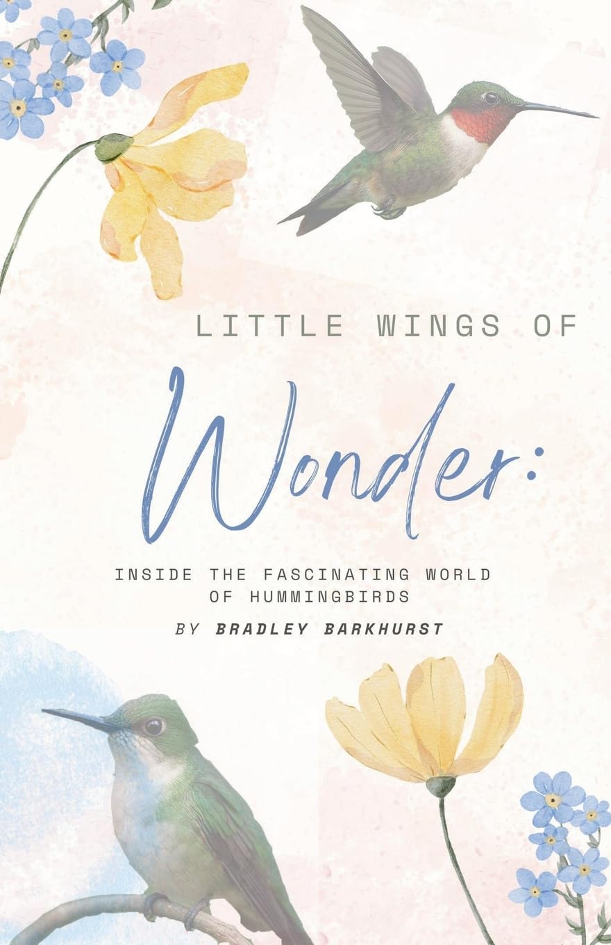 Little Wings of Wonder Mathematics