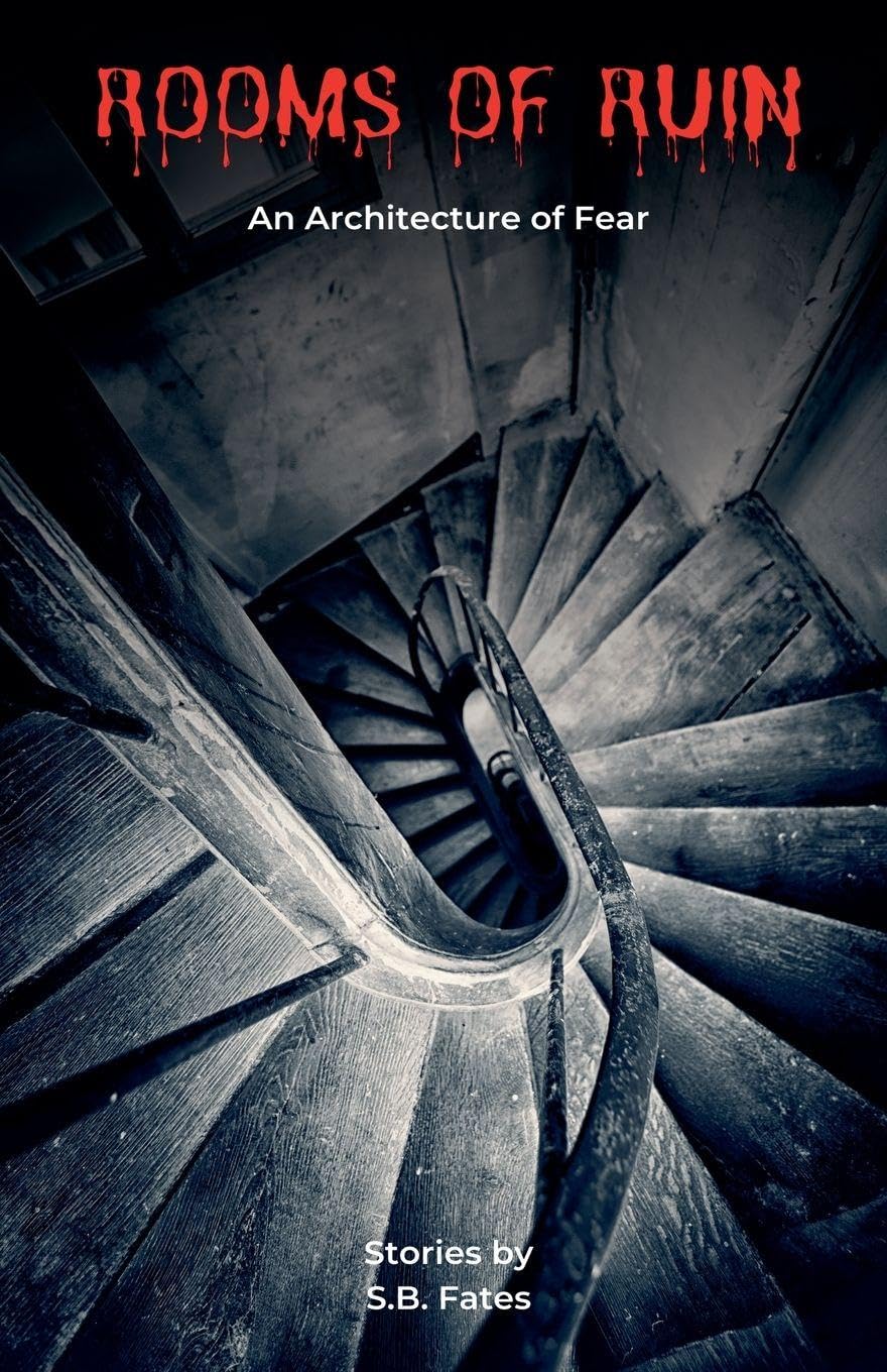ROOMS OF RUIN Historical Fiction