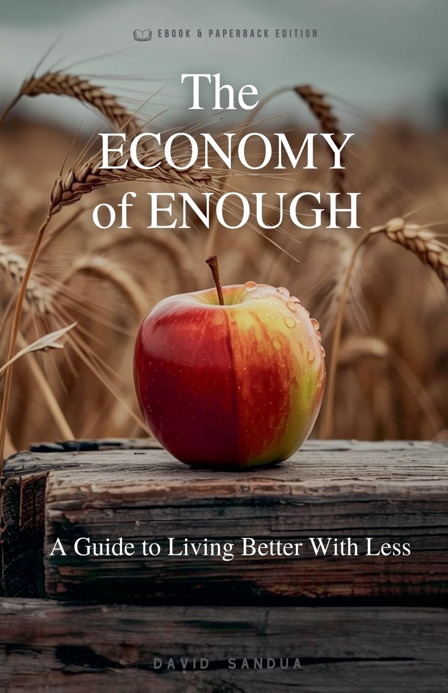 The Economy Of Enough Business, Finance & Career
