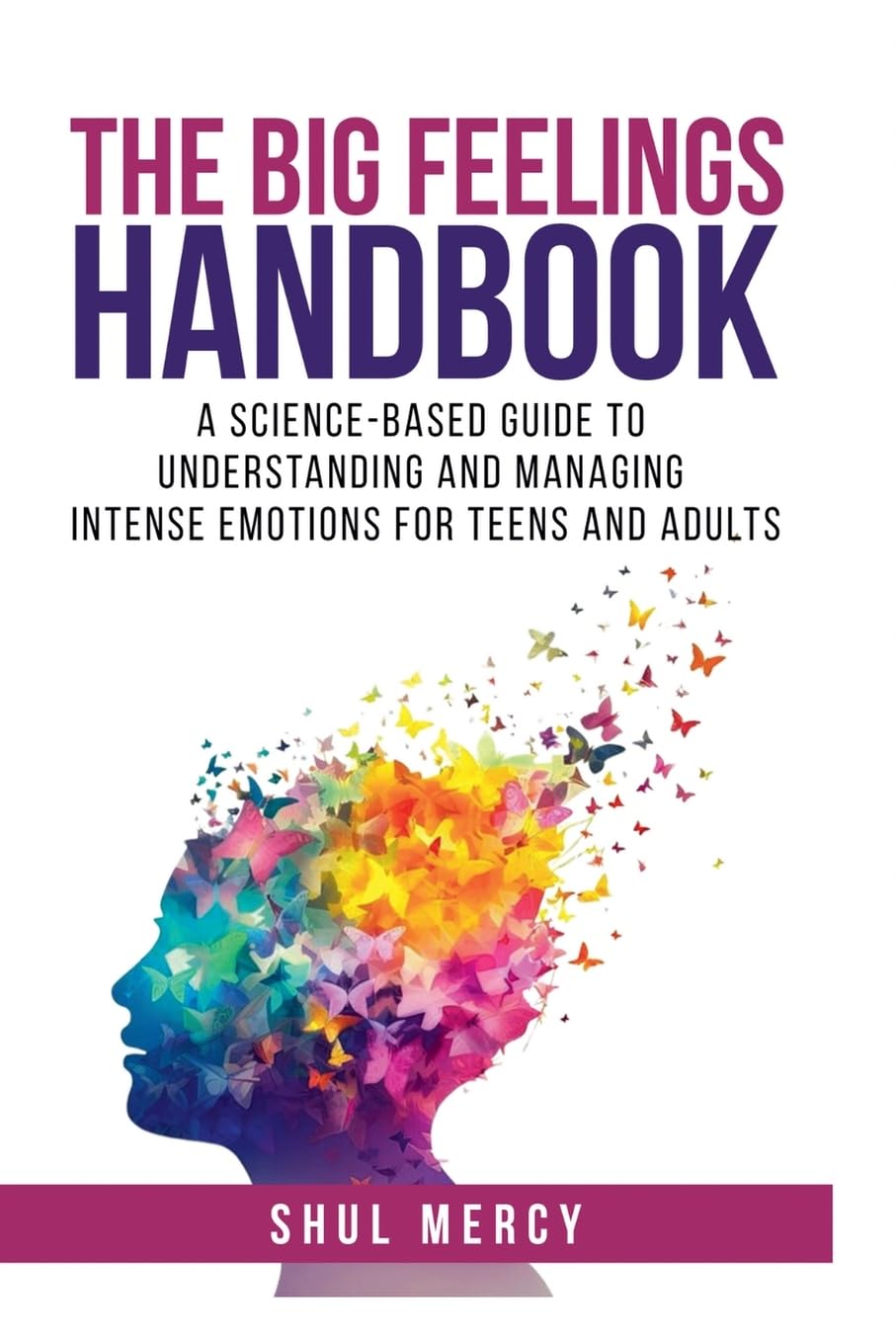 The Big Feelings Handbook Lifestyle