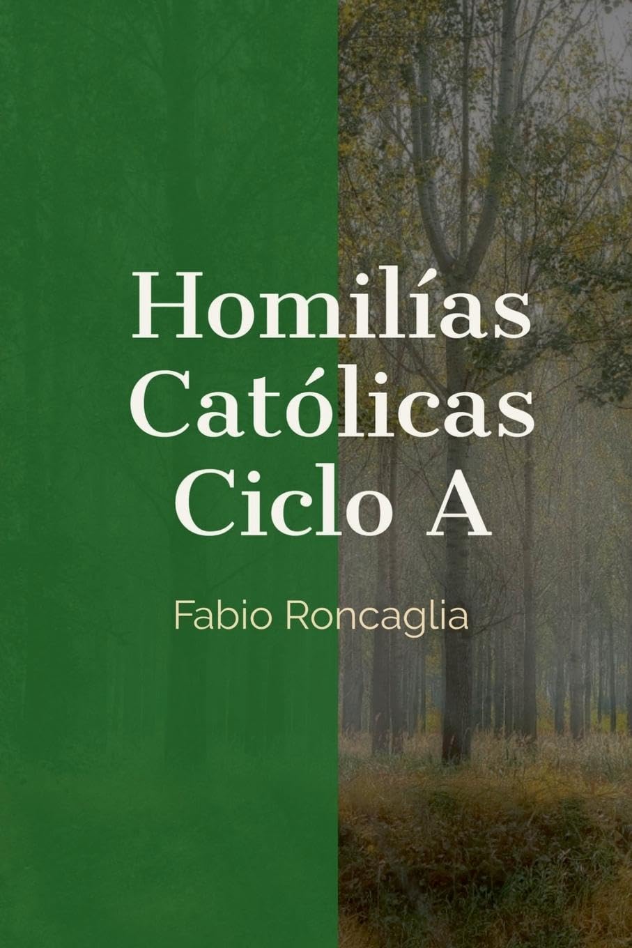 Homilías Católicas Ciclo A Religion & Esotericism
