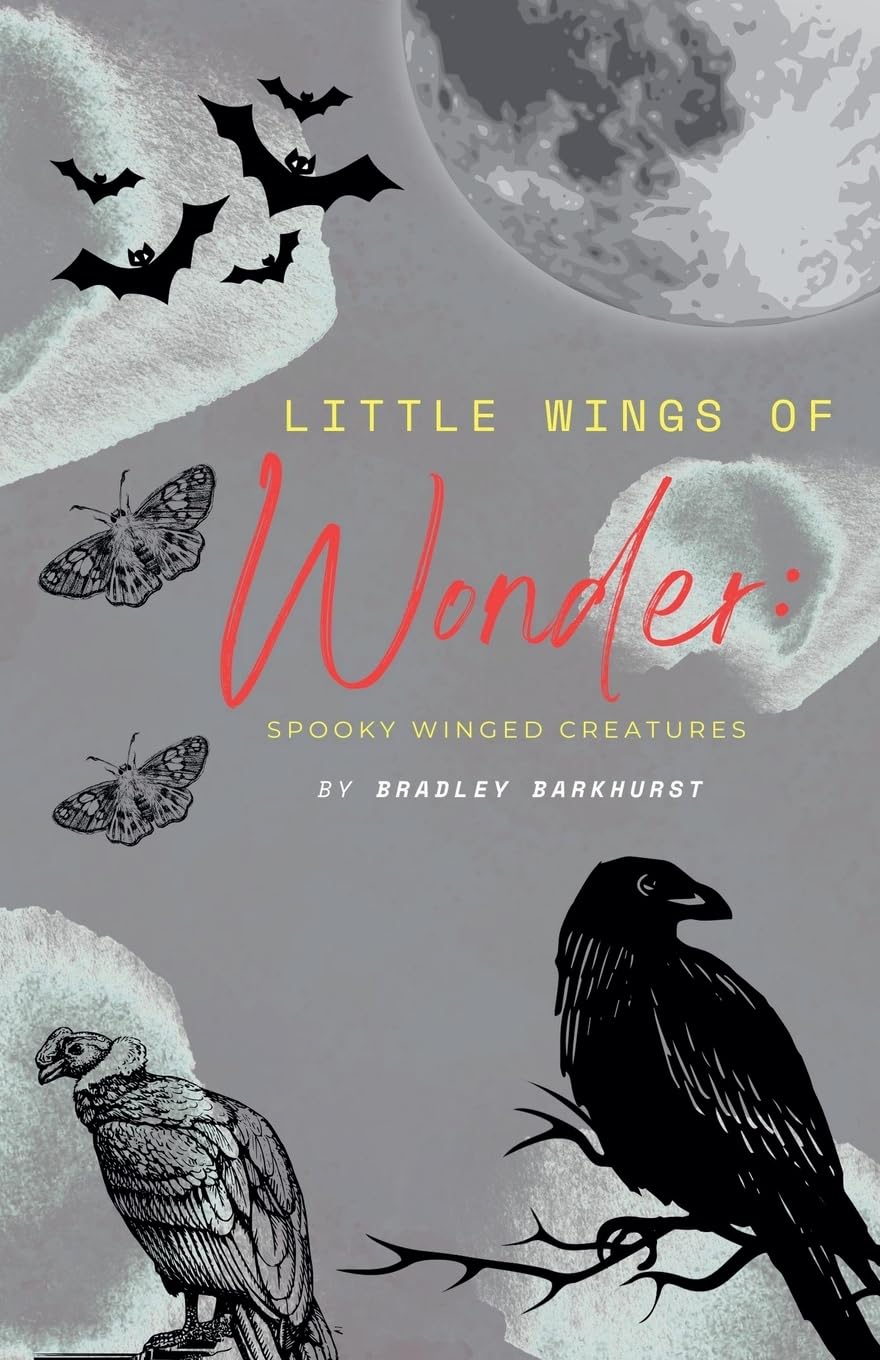 Little Wings of Wonder Leisure, Home & Garden