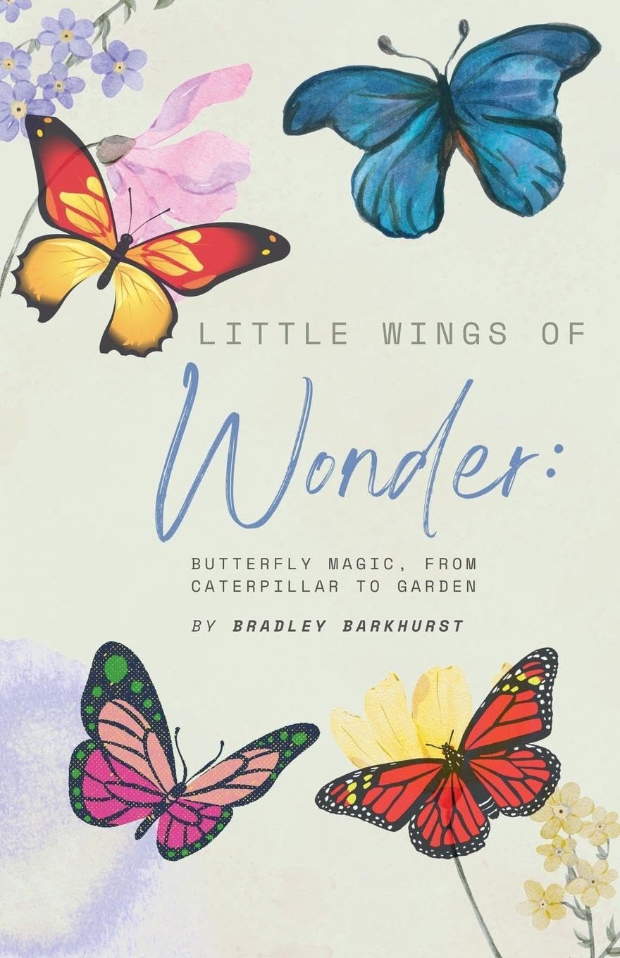 Little Wings of Wonder Pets