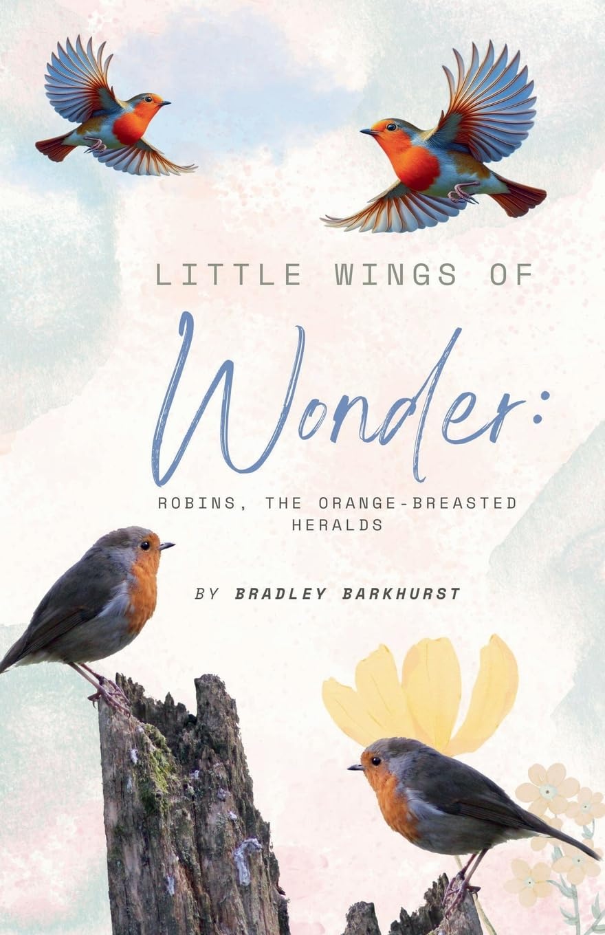 Little Wings of Wonder Leisure, Home & Garden