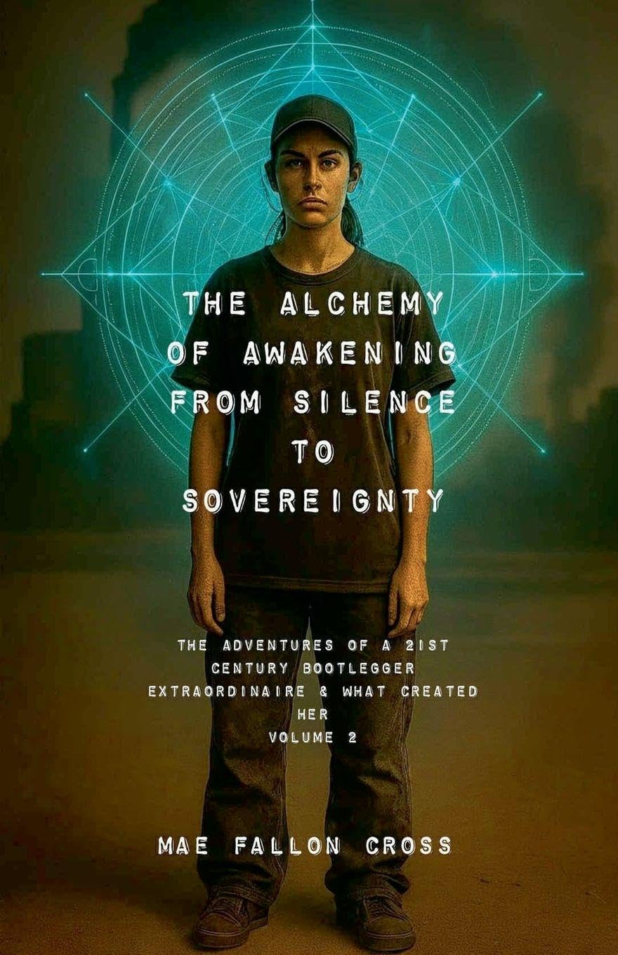 The Alchemy of Awakening Social Sciences