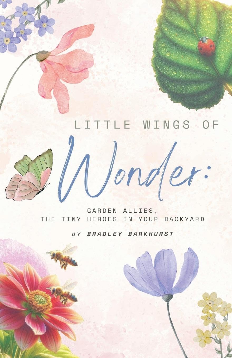 Little Wings of Wonder Leisure, Home & Garden