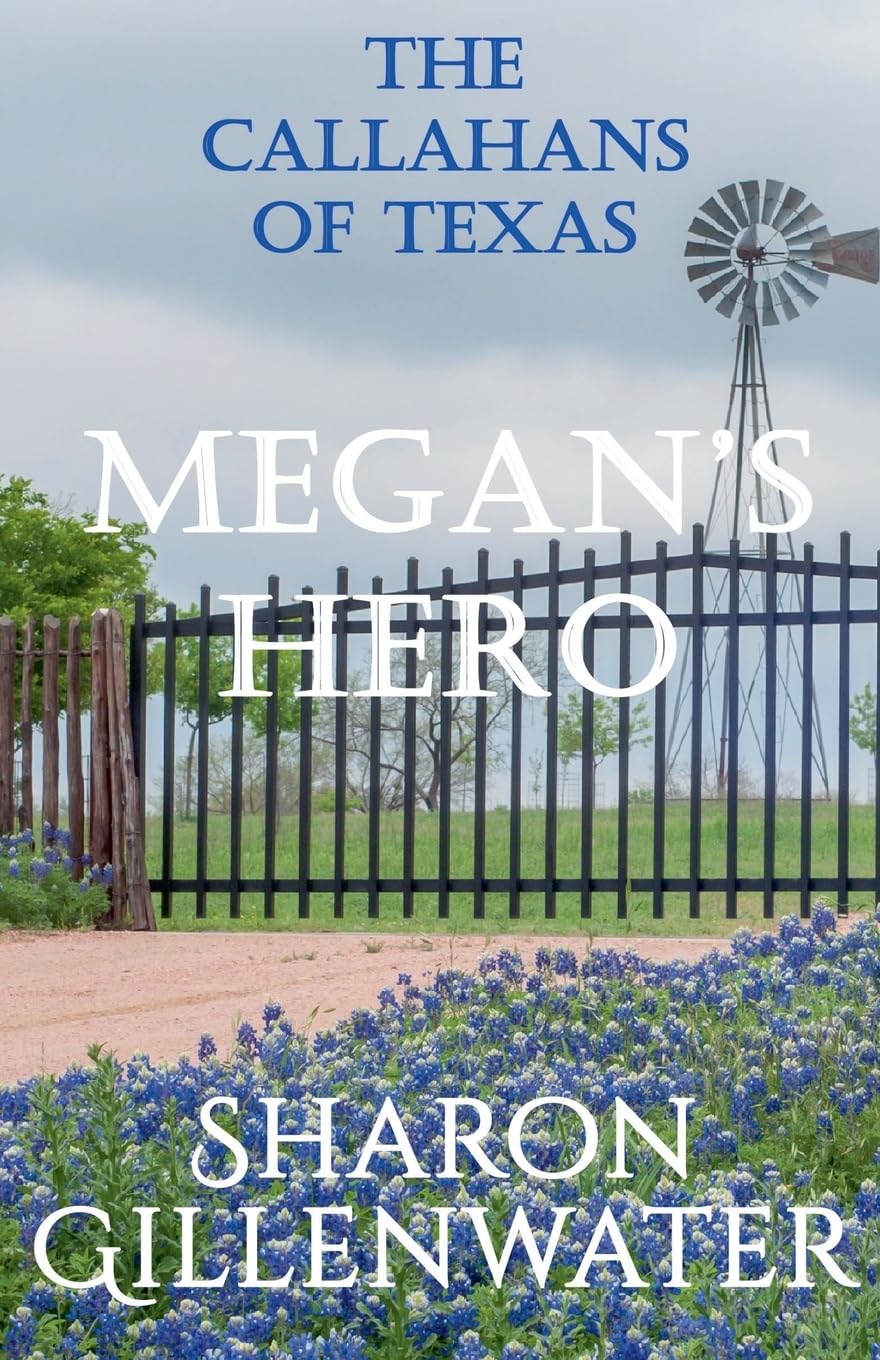 Megan's Hero Contemporary literature