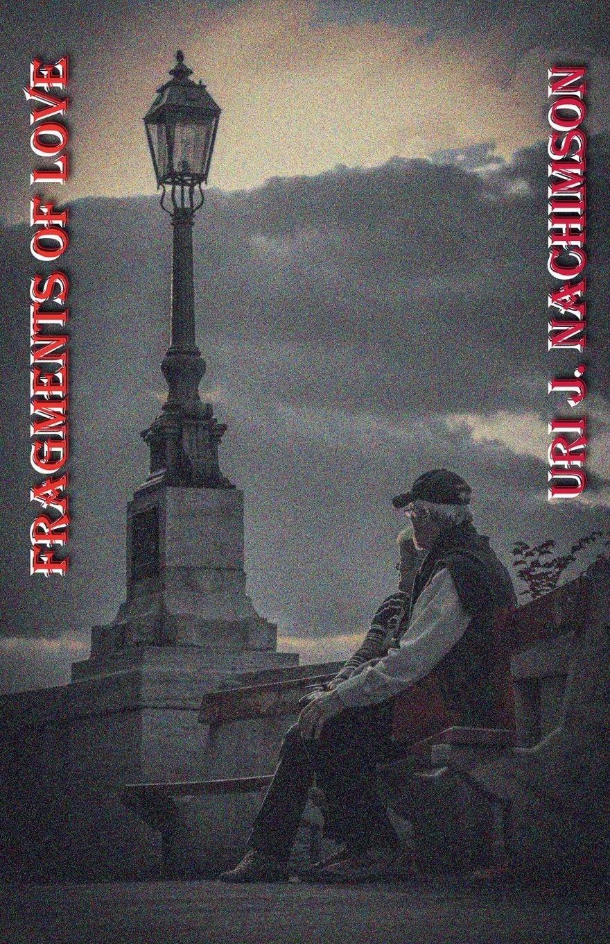 Fragments of Love Contemporary literature
