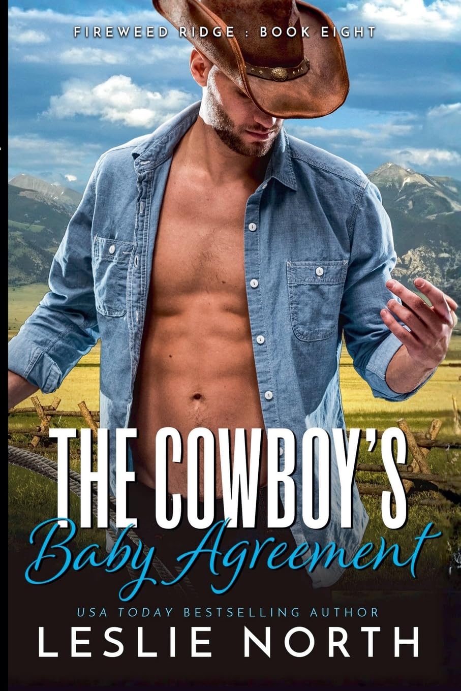 The Cowboy's Baby Agreement Contemporary literature