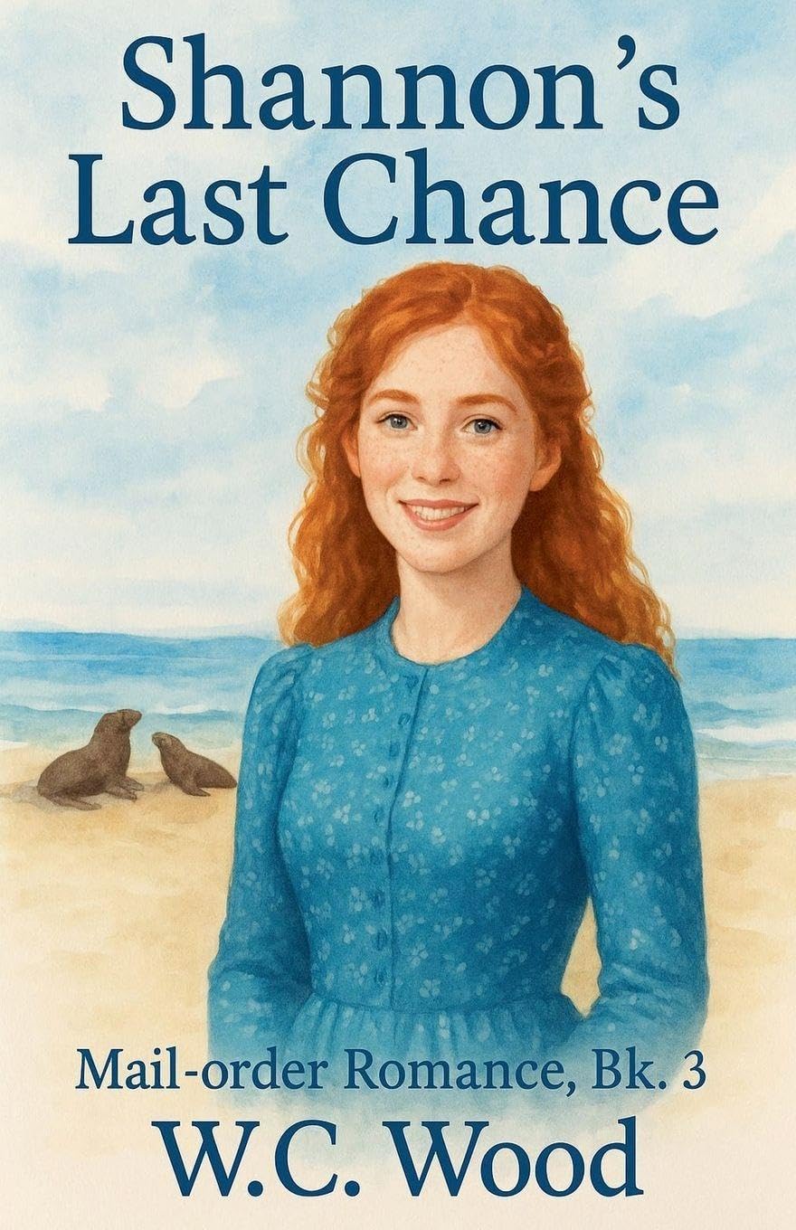 Shannon's Last Chance Contemporary literature