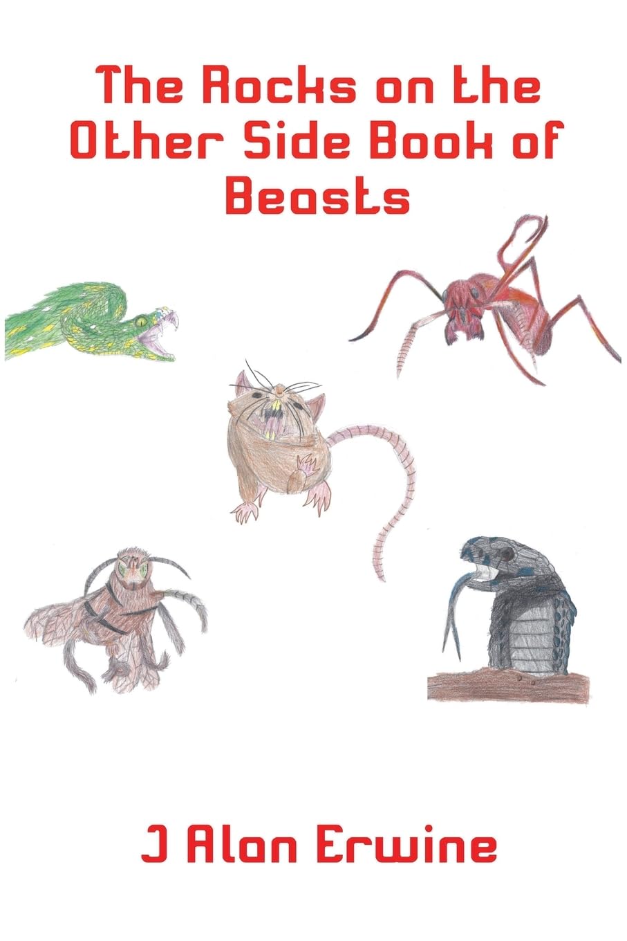The Rocks on the Other Side Book of Beasts Leisure & Fun