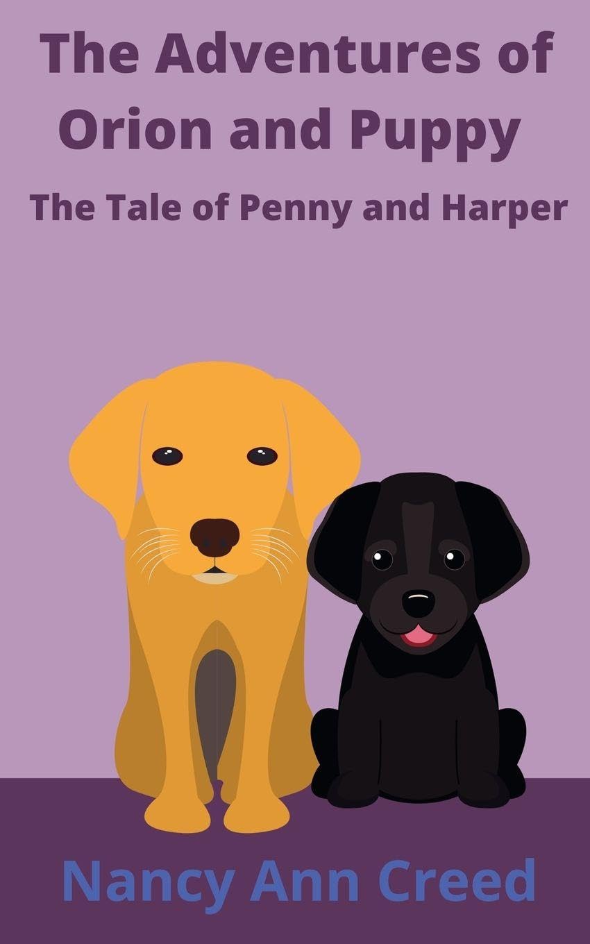 The Adventure of Orion and Puppy Non-fiction