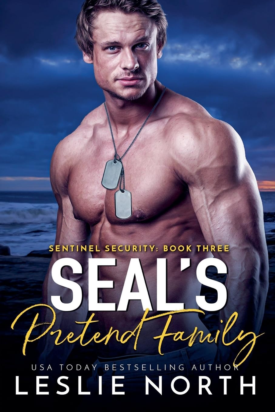 SEAL's Pretend Family Contemporary literature