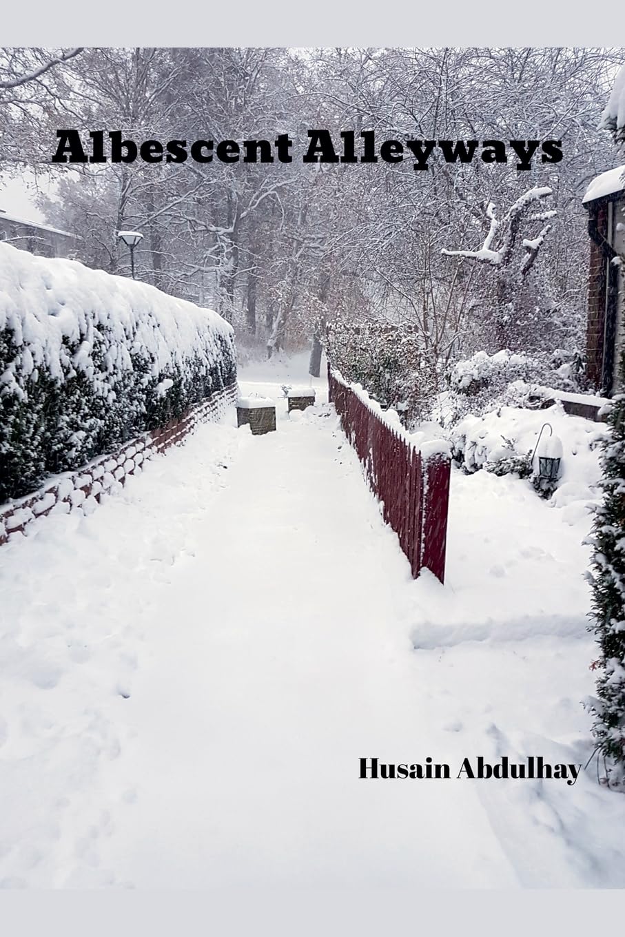 Albescent Alleyways Poetry