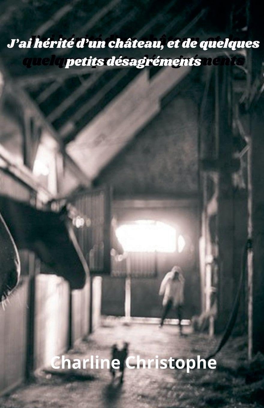 J'ai hérité d'un chateau, et quelques désagréments Contemporary literature