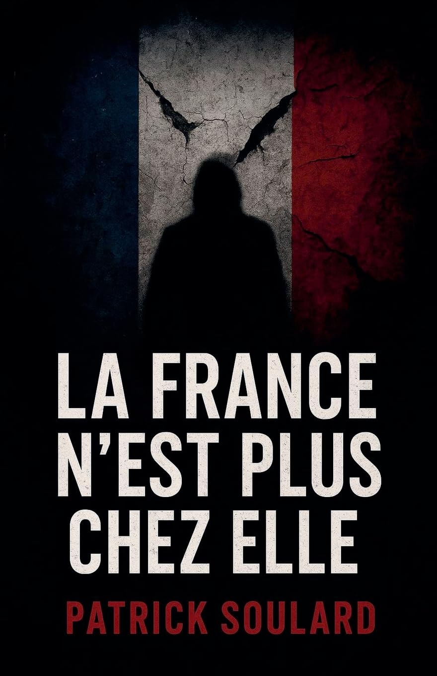 La France n'est plus chez elle Contemporary literature