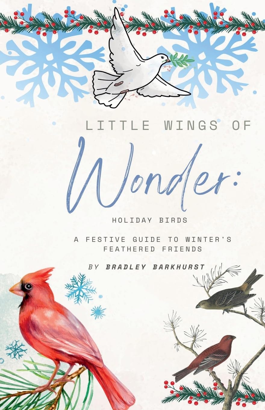 Little Wings of Wonder Leisure, Home & Garden